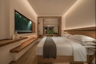 There's a hotel under the banyan tree - 5