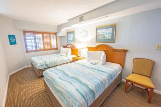 1 BR at Beach Cove Resort,Pools,Direct Oceanfront! - 8