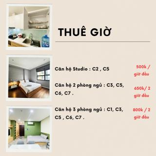 Vinhomes D'Capitale - Rent for 2 hours a day - 6