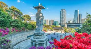 Hotel Lava Seocho - 5