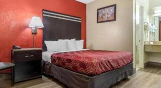 Econo Lodge Columbia Fort Jackson - 1