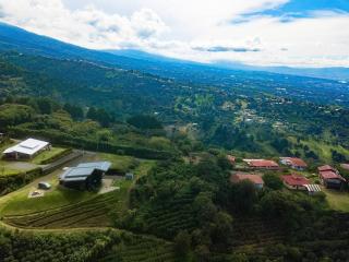 Private Room C with Mountain Views in Grecia - 9