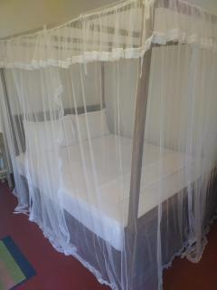 Rainforest field view resort - 9