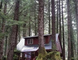 Charming A-Frame Cabin Rental on Prince of Wales Island in Hollis, Alaska - 0