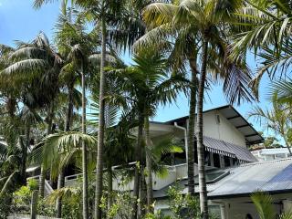 Nth Avalon Beach Living House - 7