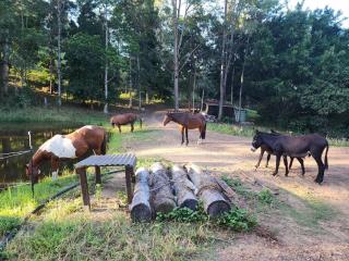 Peaceful off-grid stay surrounded by nature - 8