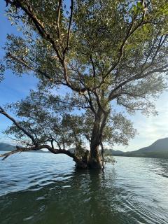 Sea Escape Koh Yao Yai - 5