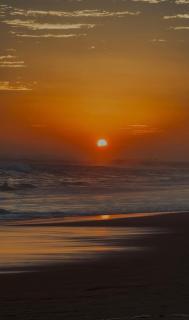 Rekawa Turtle Gate Hotel - 0