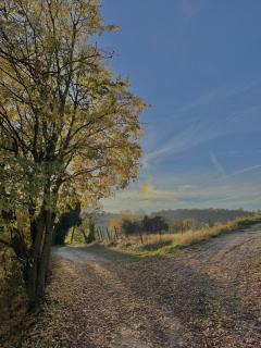 Holiday Home Sovenigo - 1