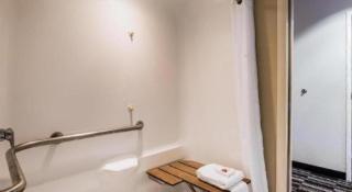 Microtel Inn & Suites by Wyndham Chattanooga/Near Hamilton P - 7