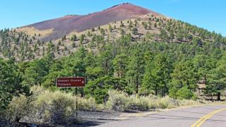 Captivating 1 BR Chalet Hideaway Prime Location - 2