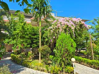 Hotel Tree Tops- A Serene Friendly Hotel in Sauraha - 5