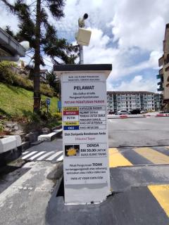 Puncak Cameron Holiday - 8