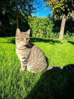 Daphne Experience - 5