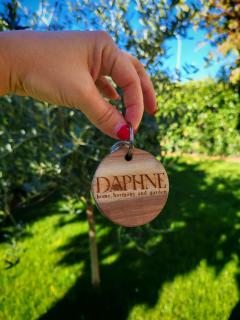 Daphne Experience - 6