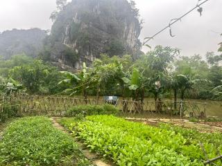 Peaceful refuge homestay - Ninh Bình - 6