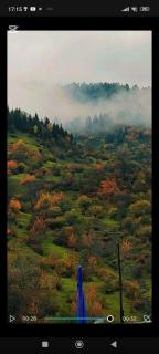 Wooden house nica - 5