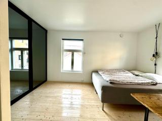 Charming in the center of Hamar - 2