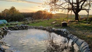 Tweet Apartments with Sauna and optional Breakfast Close To Terme Sveti Martin - 3