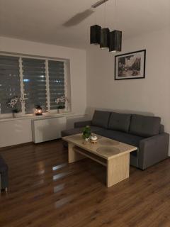 Apartament w Centrum Malborka - 8
