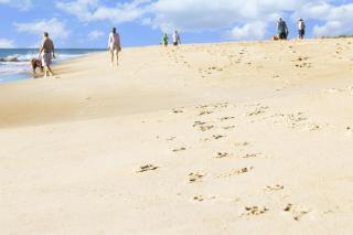 Hyatt Place Dewey Beach - 0