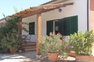 Agriturismo Agrifoglio - Capalbio - 5