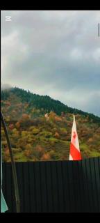 Wooden House Nica - 4