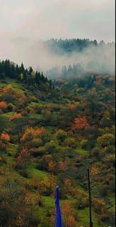 Wooden House Nica - 8