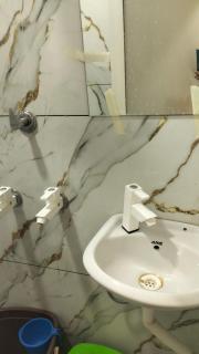 Shree Ji Home Stay - 8