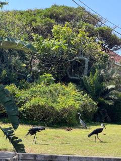 Ocean View Villa - 1