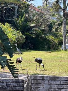 Ocean View Road Villas - 3