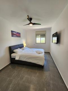 הדקל והים אילת - 6