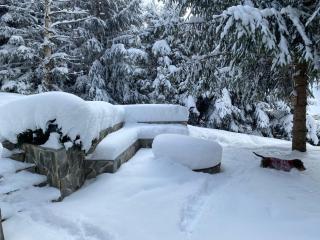 Mountain Chalet - Cabana la Muntele Baisorii - 6