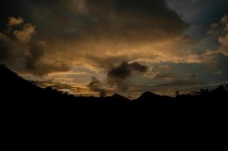 Rainforest field view resort - 2