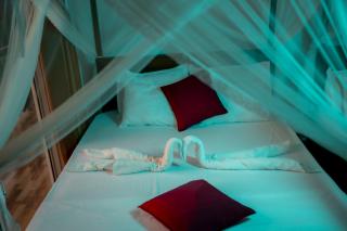 Rainforest field view resort - Kiriwalagama - 1