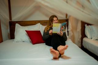 Rainforest field view resort - 0