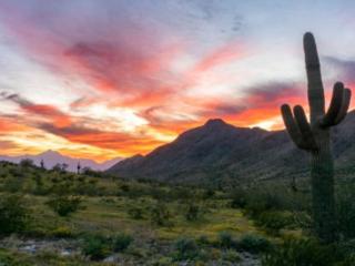 Mountain View Apartment With Phoenix at Your Doorstep by Rytell Stays - 5