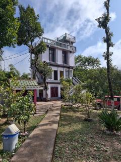 Ribsweet Treetops Bed and Breakfast - Pynursla - 9