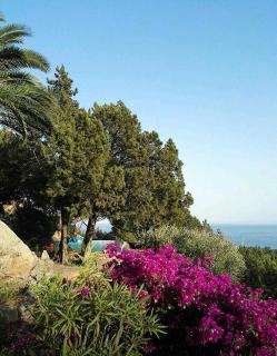 Villa 106 Palombaggia 8 people - 7