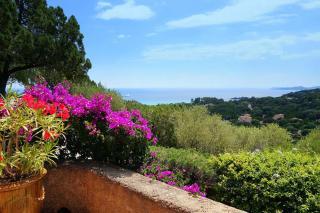 Villa 106 Palombaggia 8 people - 1