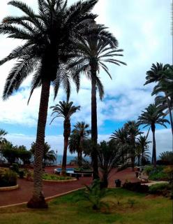 Cómodo Rinconcito en Puerto - 4