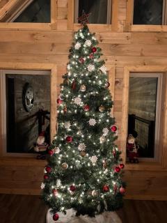 Victoria's Secrets cabin - 8