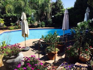 Stellenbosch Berg - 0