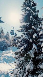 Residenza Albaré - 5