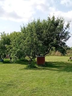 Hof Baethcke Ferien auf dem Lande - 5