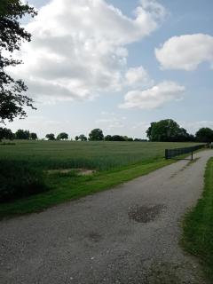 Hof Baethcke Ferien auf dem Lande - 3