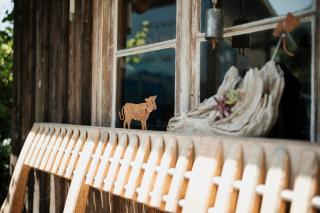 Biohof Dimper - Campingplatz - keine Zimmer - 1