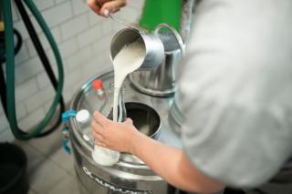 Biohof Dimper - Campingplatz - keine Zimmer - 3