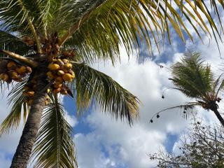 Villa Aquamarine by Lakaz Tropikal - Grand Baie - 2