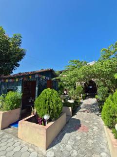 Hotel Tree Tops- A Serene Friendly Hotel in Sauraha - 2